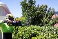 Chippers Tree Service image 2